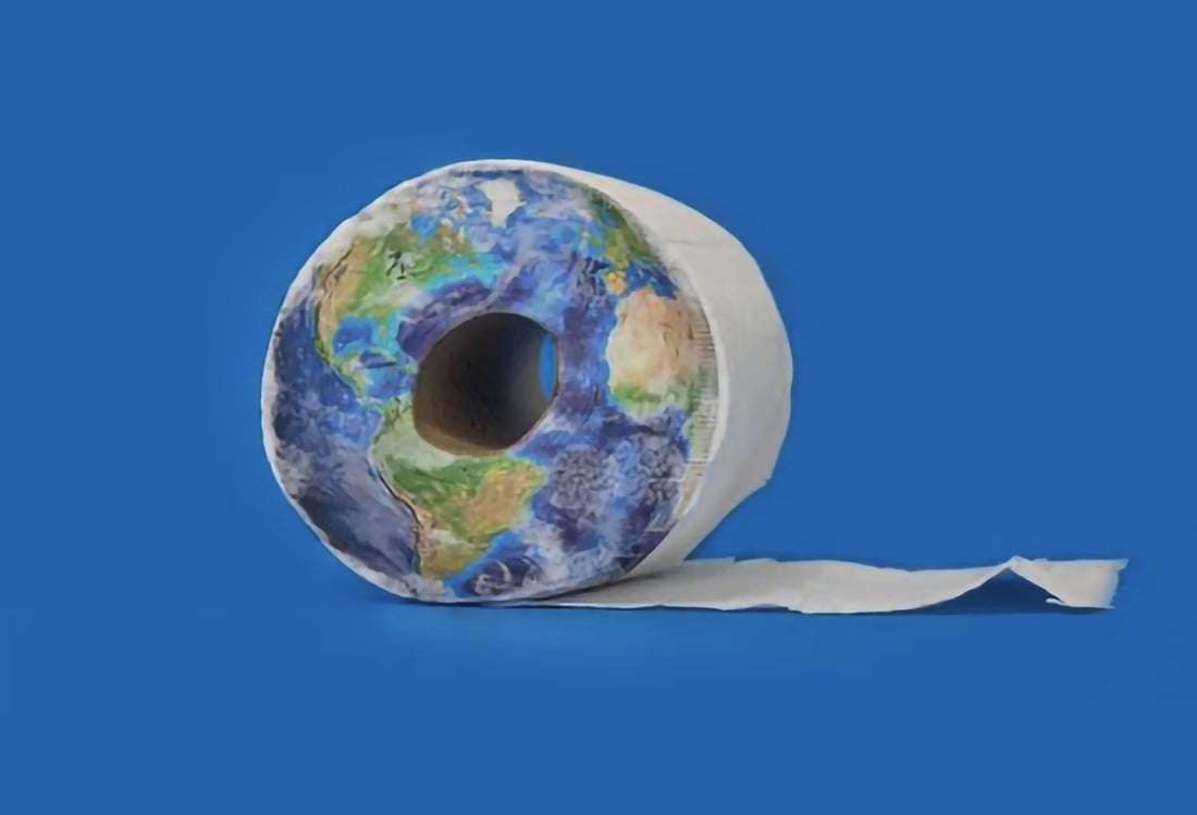 Impatto carta igienica sull'ambiente