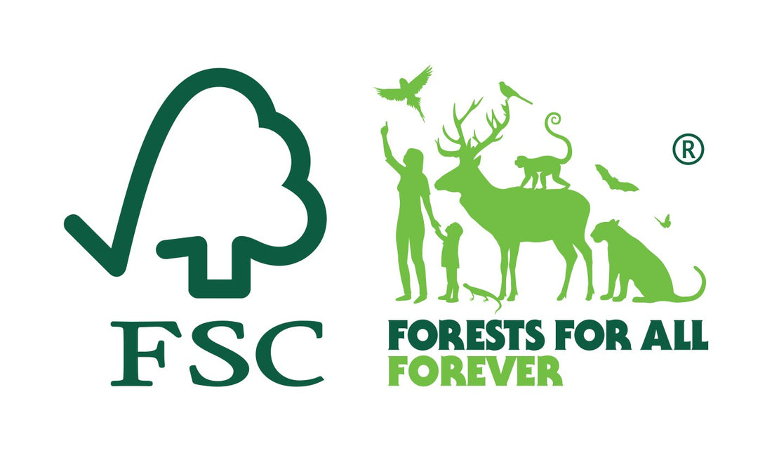 Certificazione FSC® e Chain of Custody (CoC): salviamo le foreste