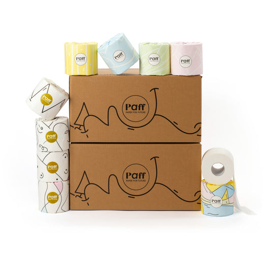 Maxi rotoli di carta igienica in cellulosa di bambù B2B - 48 rotoli